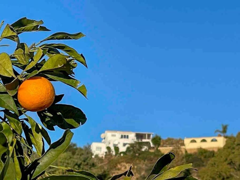 Villa Los Faramondos Naturehouse ตูร์เร ภายนอก รูปภาพ