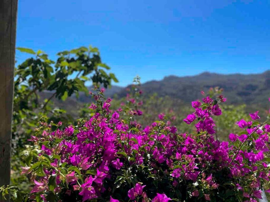 Villa Los Faramondos Naturehouse ตูร์เร ภายนอก รูปภาพ